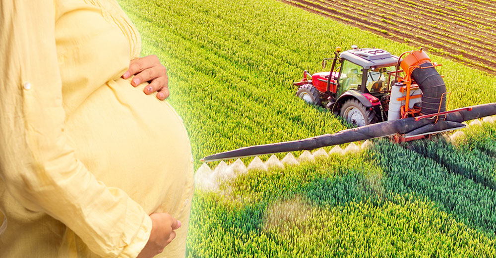 miscarriage risk pesticide exposure