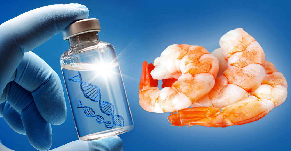 mrna vaccine shrimp farms