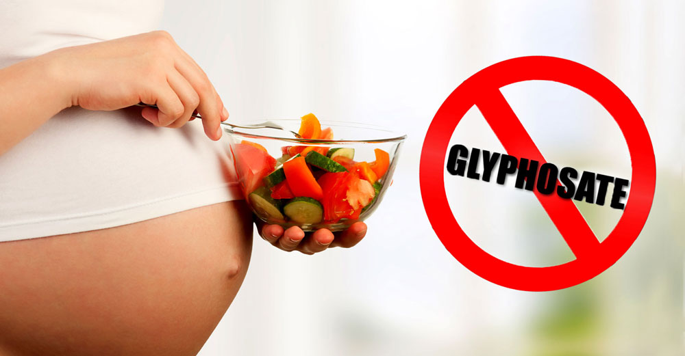 organic diet glyphosate pregnant