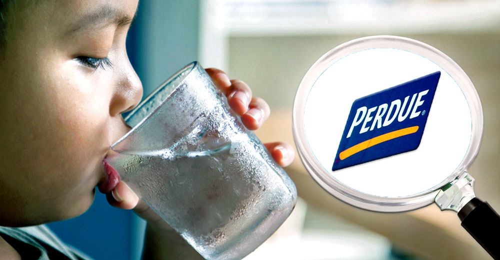 perdue-pfas-drinking-water