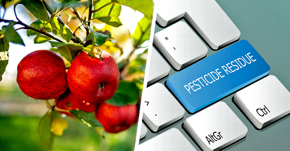 pesticide residues fruit