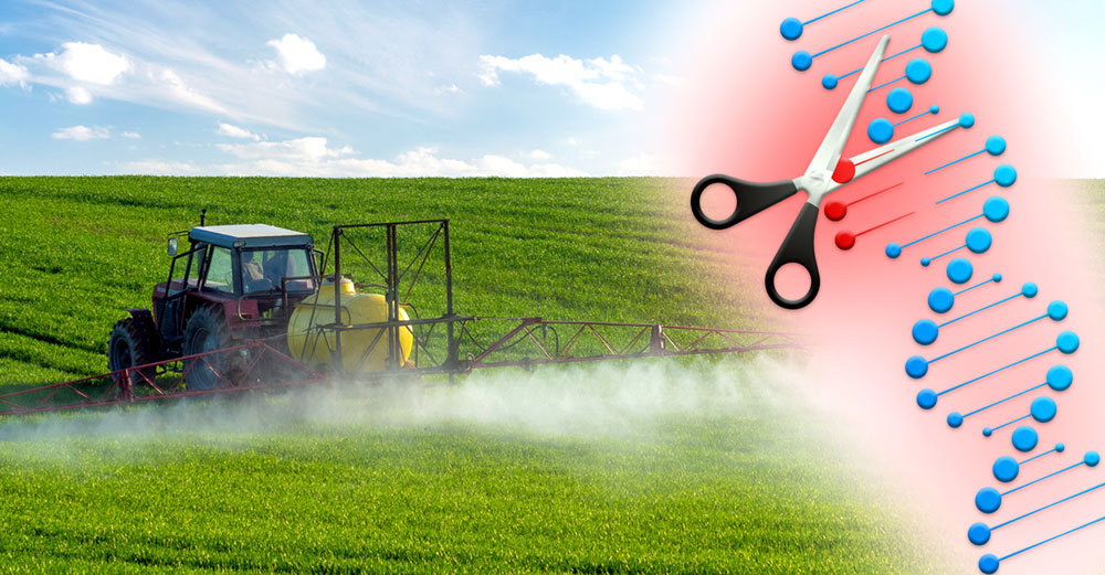 pesticides edit genes