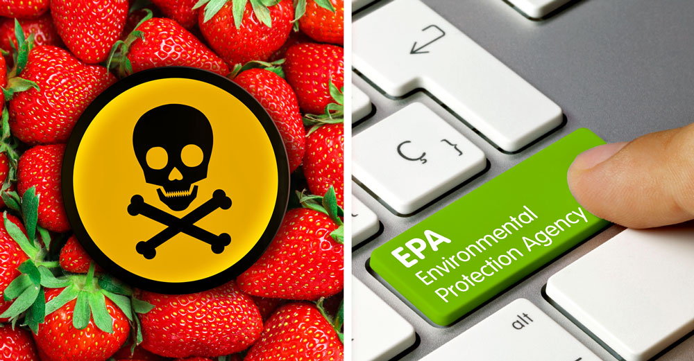 pesticides epa database public