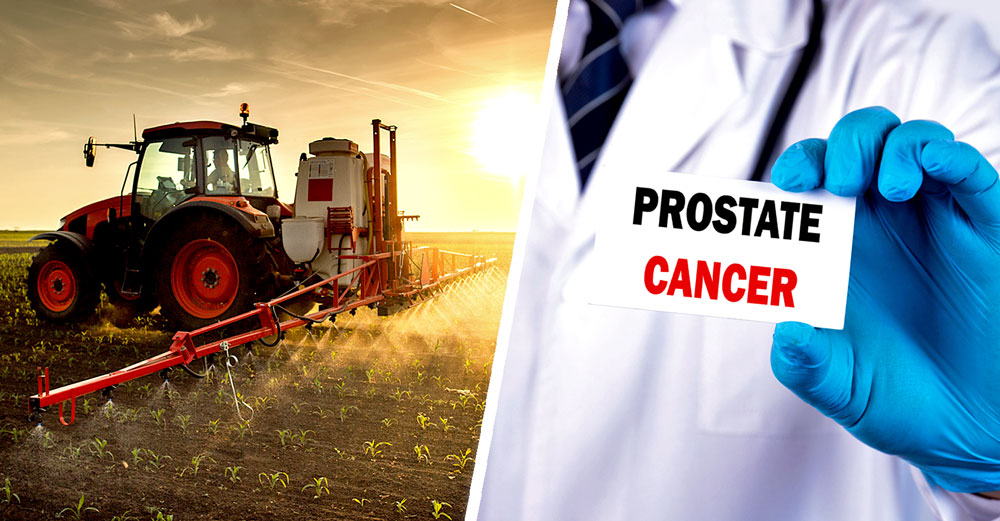 pesticides food prostate cancer