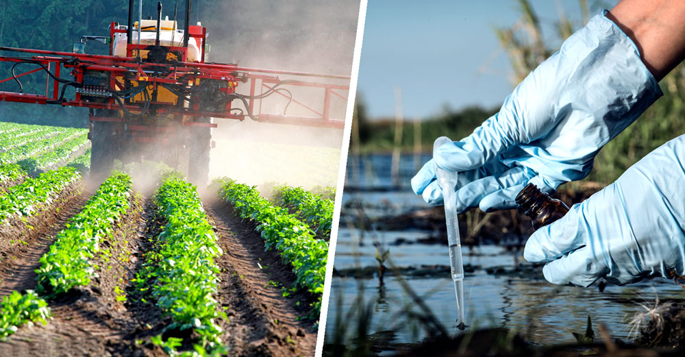 pesticides leach aquifers