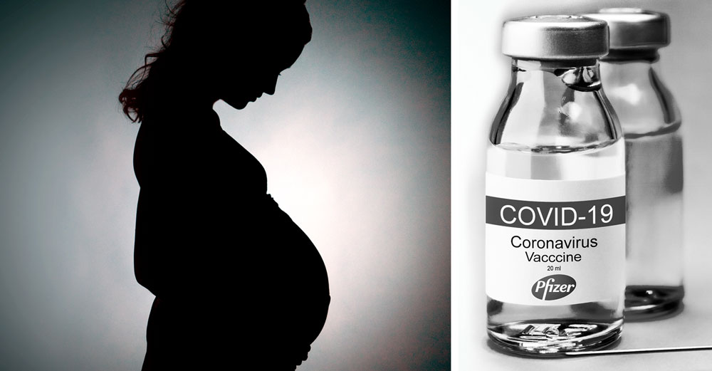 pfizer covid vaccine pregnant