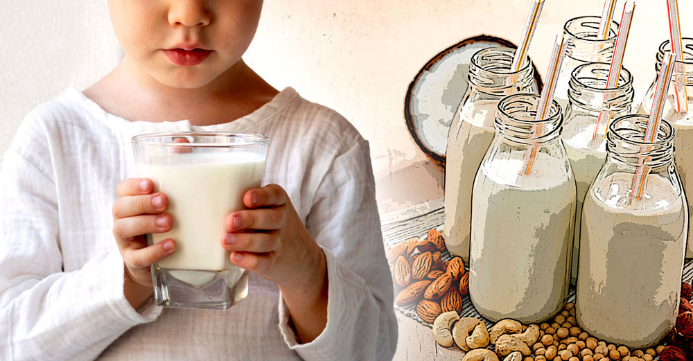 plant-milk-toddler-health