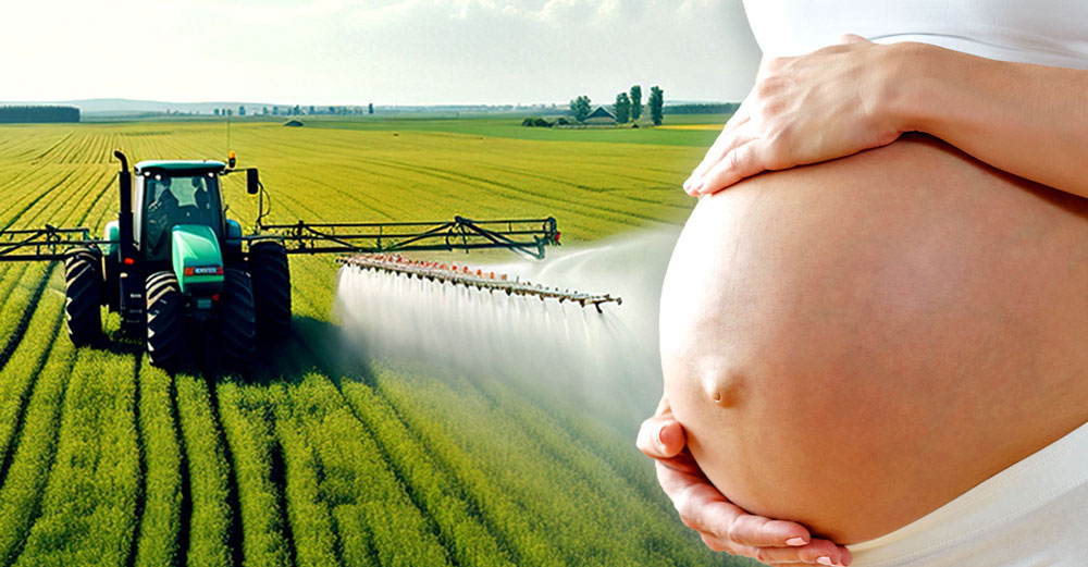 pollutants unborn pregnant women