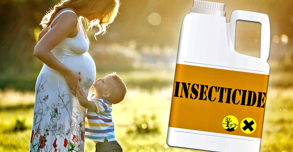 prenatal child insecticide pyrethroid
