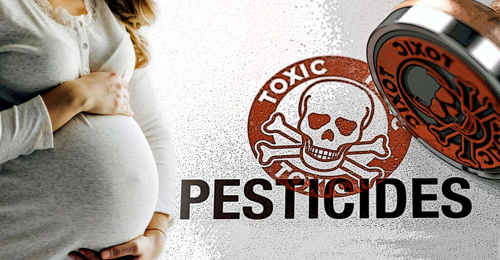 prenatal pesticides children