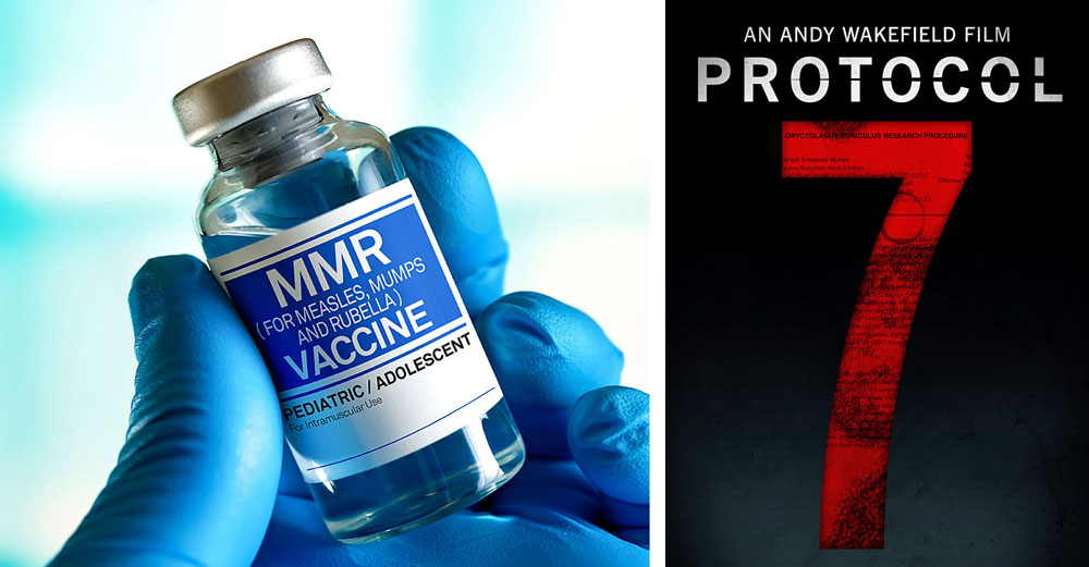 protocol 7 merck mmr vaccine