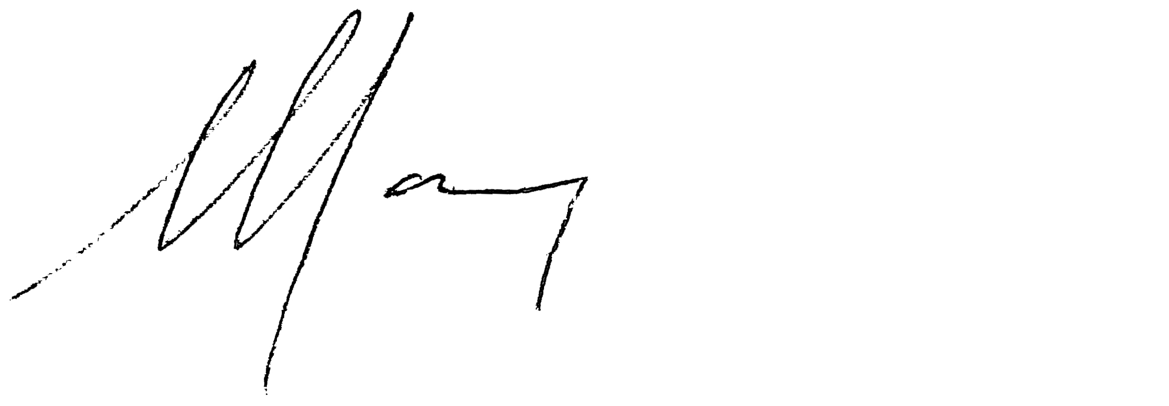 Mary Holland's signature - first name only