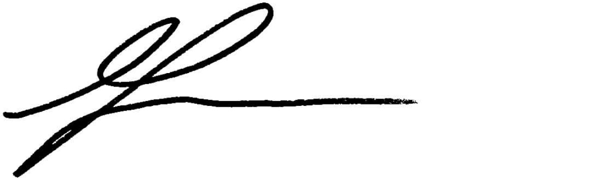 Giorgio Zeolla's signature