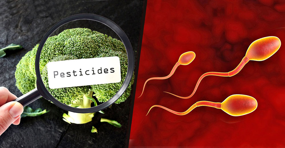 sperm count pesticide food crops