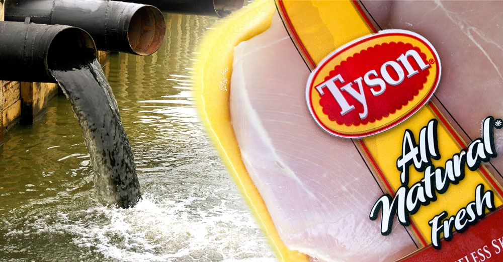 tyson chicken waste waterway