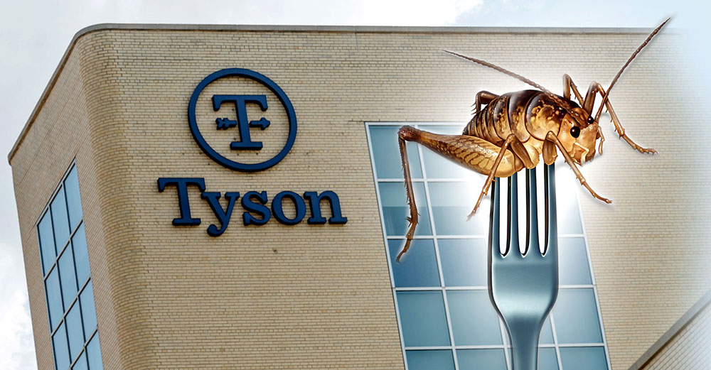 tyson foods protix insects